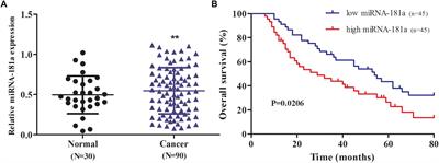 MicroRNA-181a Functions as an Oncogene in Gastric Cancer by Targeting Caprin-1